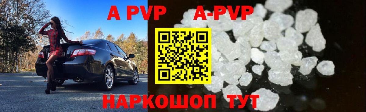 A-PVP СК КРИС Вольск