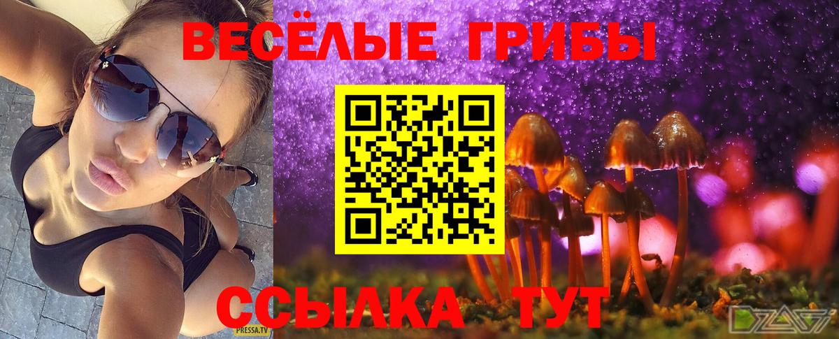 хочу   Галлюциногенные грибы Magic Shrooms  Вольск  Вход с VPN  Галлюциногенные грибы прущие грибы 